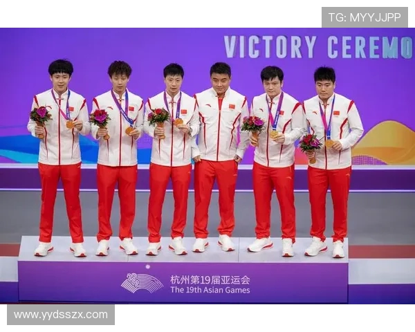 乒乓球团队协作实力榜单揭晓深圳乒乓球队荣获第五名佳绩